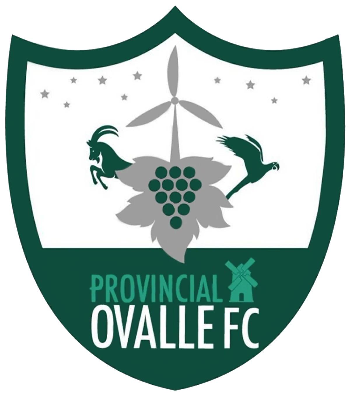 Provincial Osorno ANFP